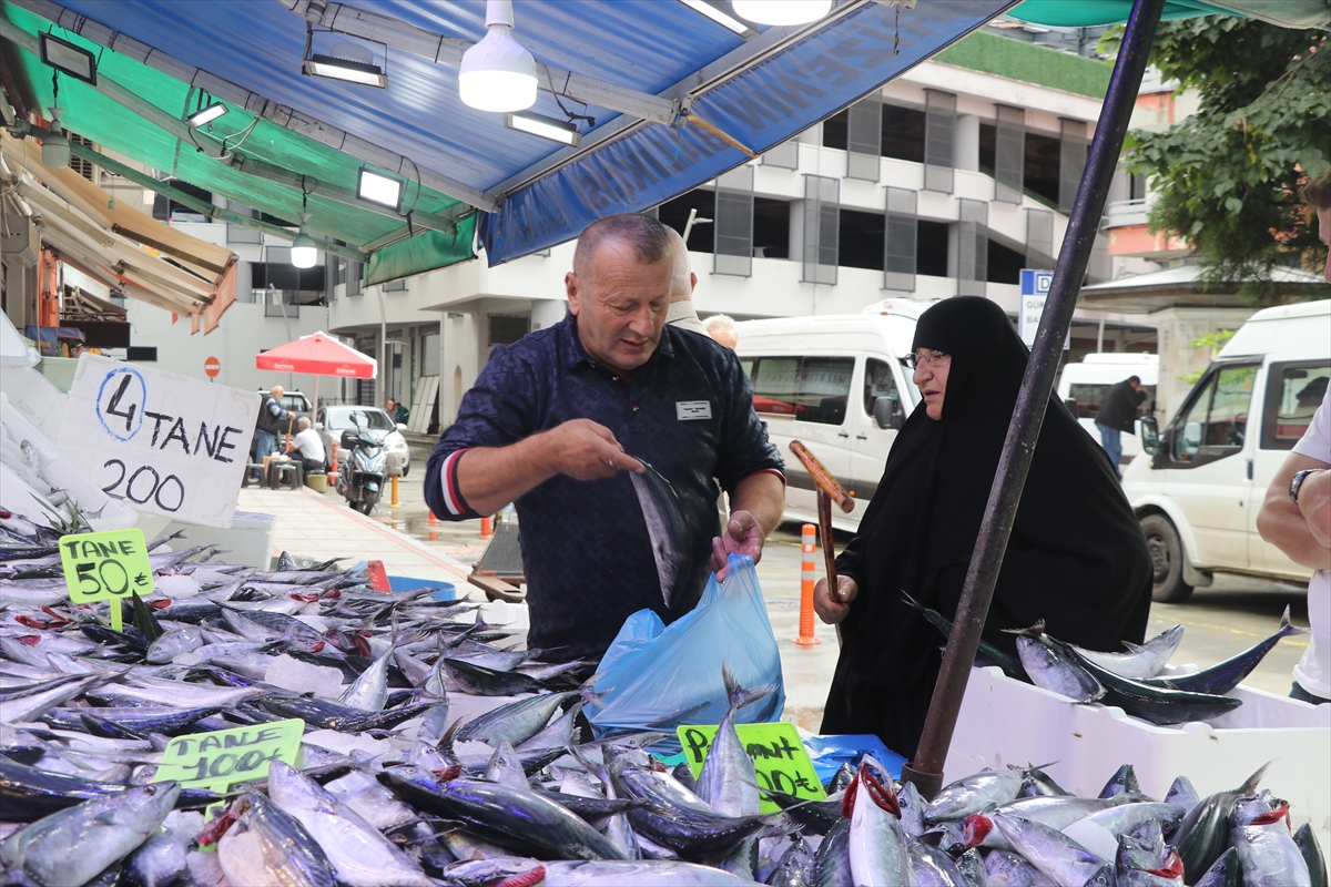 Rize tezgahlarında palamut bolluğu yaşanıyor: Fiyatı 50 liradan başlıyor