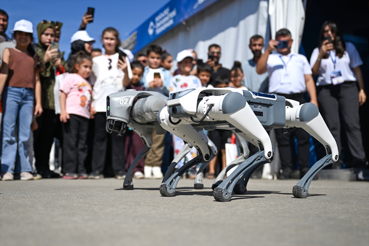 TEKNOFEST Şanlıurfa’da insansı robotlar ve robot köpekler gösteri sundu