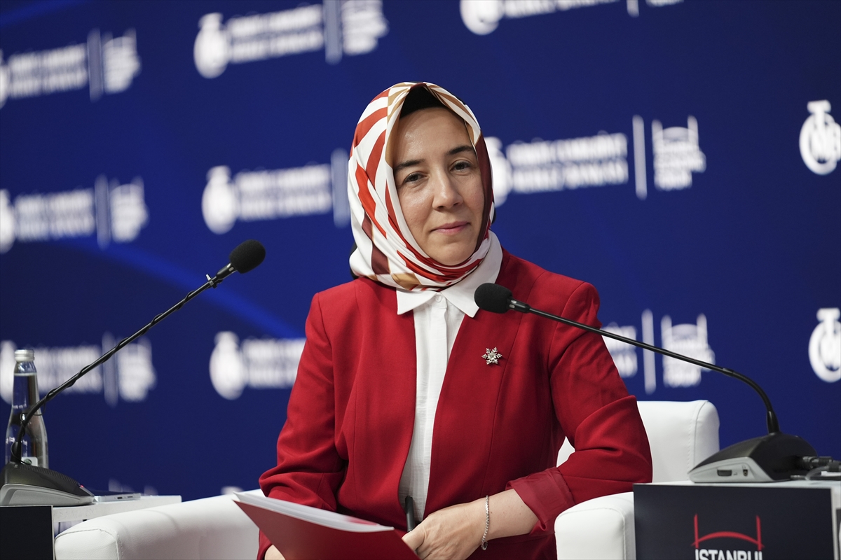 Karahan says central banks should lead in setting AI standards