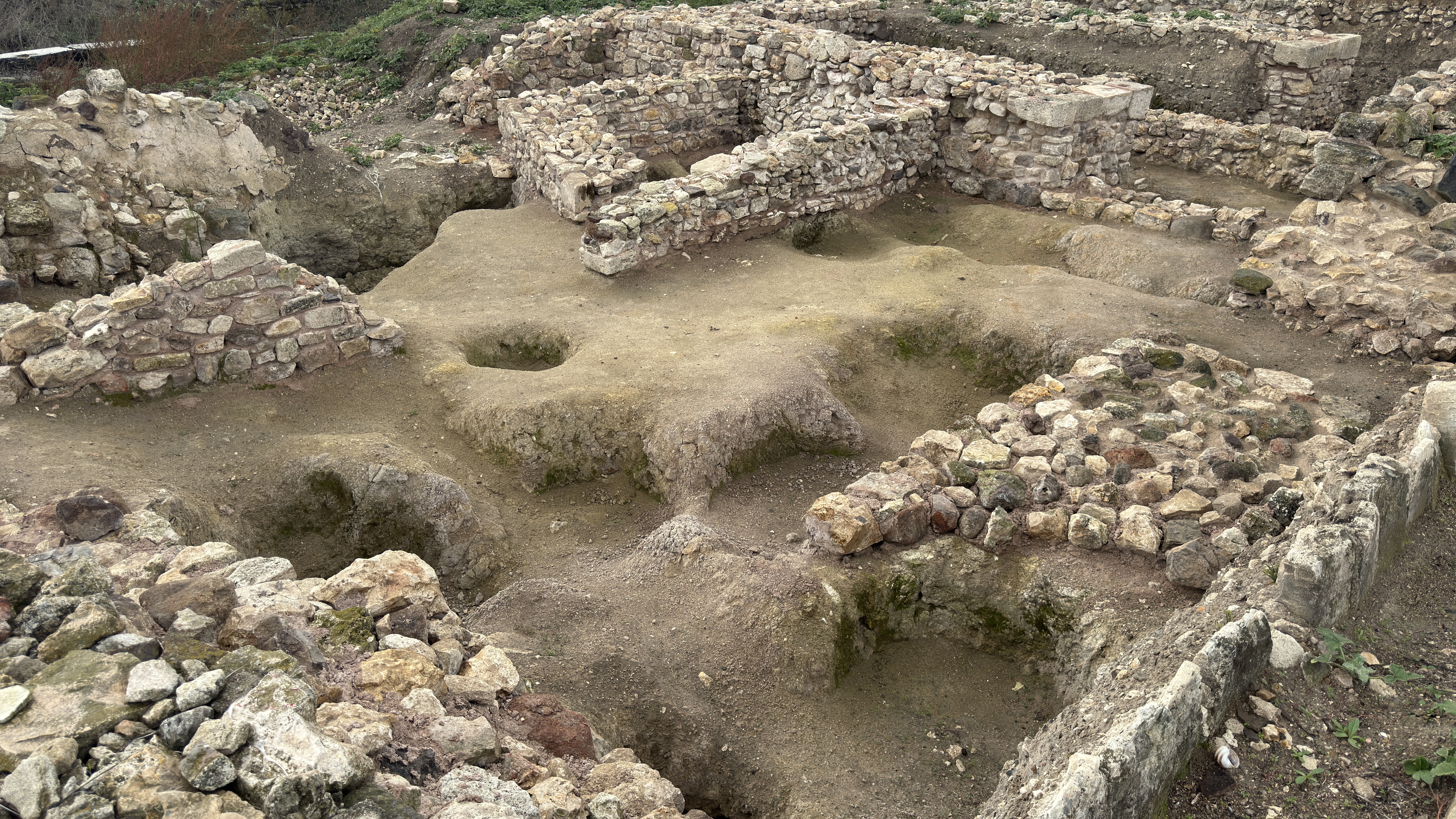 Excavations at Daskyleion uncover 2,600-year-old carbonized seeds