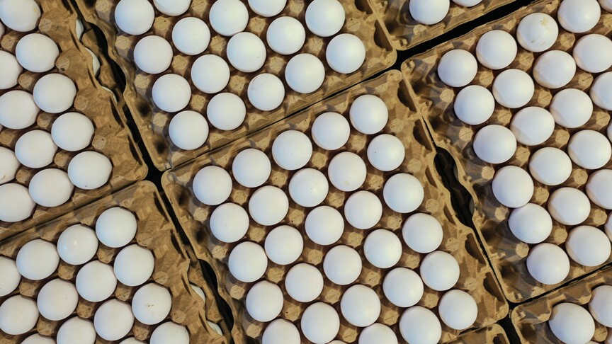 Türkiye’s egg exports rise to $418.7 million in nine months