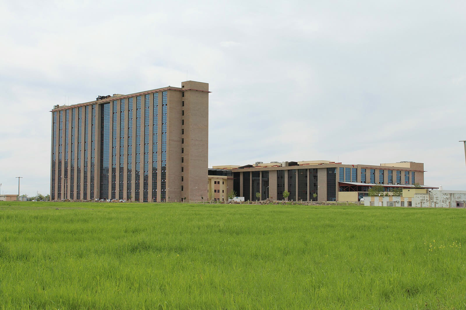 Diyarbakır'da Prof. Dr. M. Gazi Yaşargil'in adını taşıyan eğitim ve araştırma hastanesi (arşiv)
