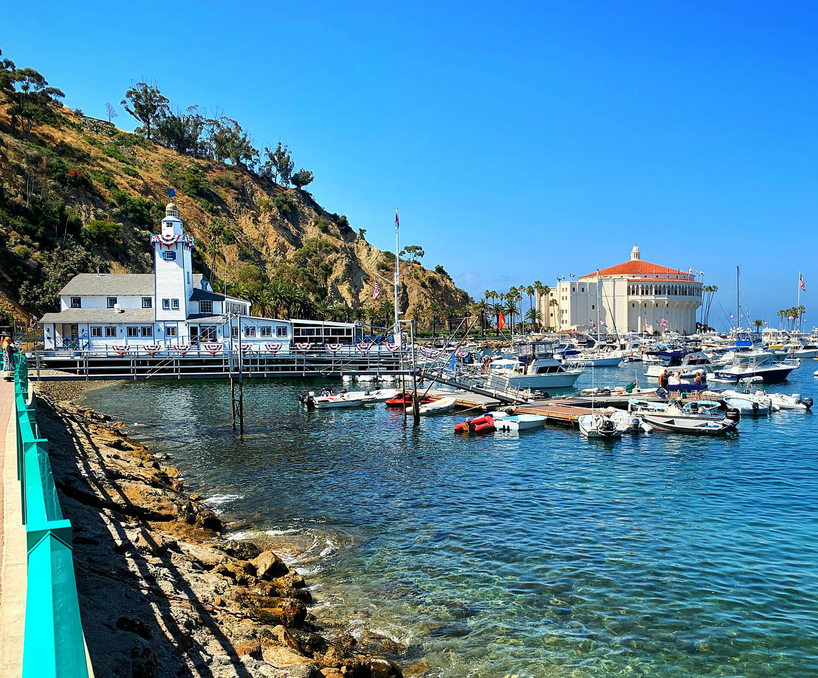 Catalina Adası'ndaki Avalon Limanı (arşiv)