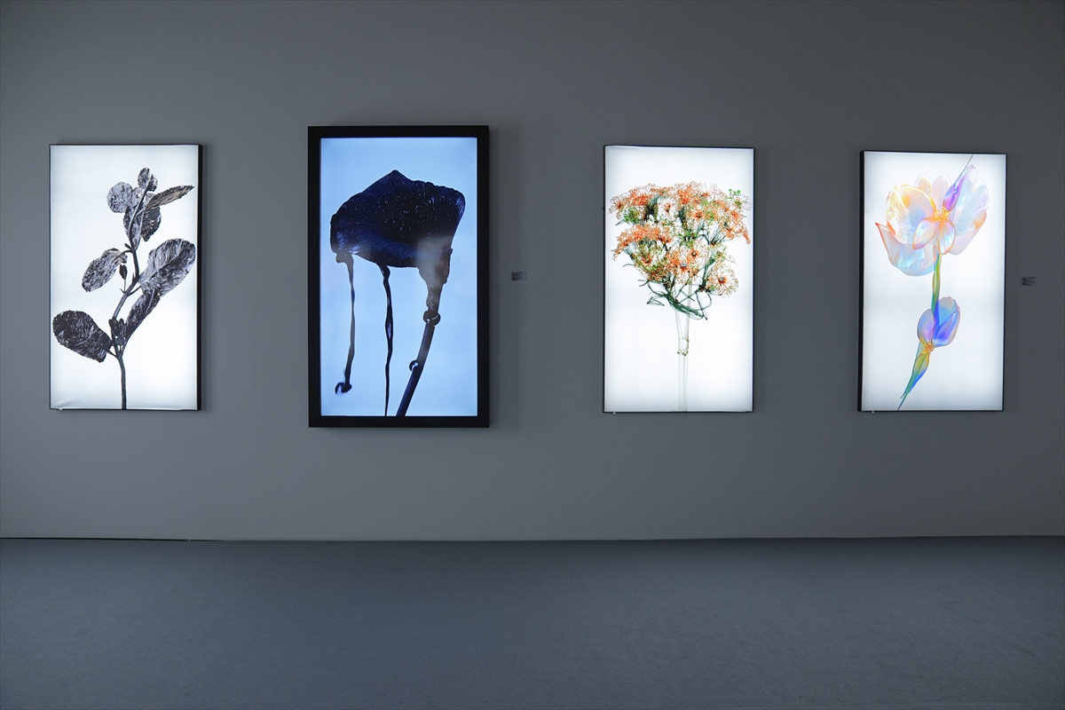Digital works displayed at the Creative Tech Zone exhibition