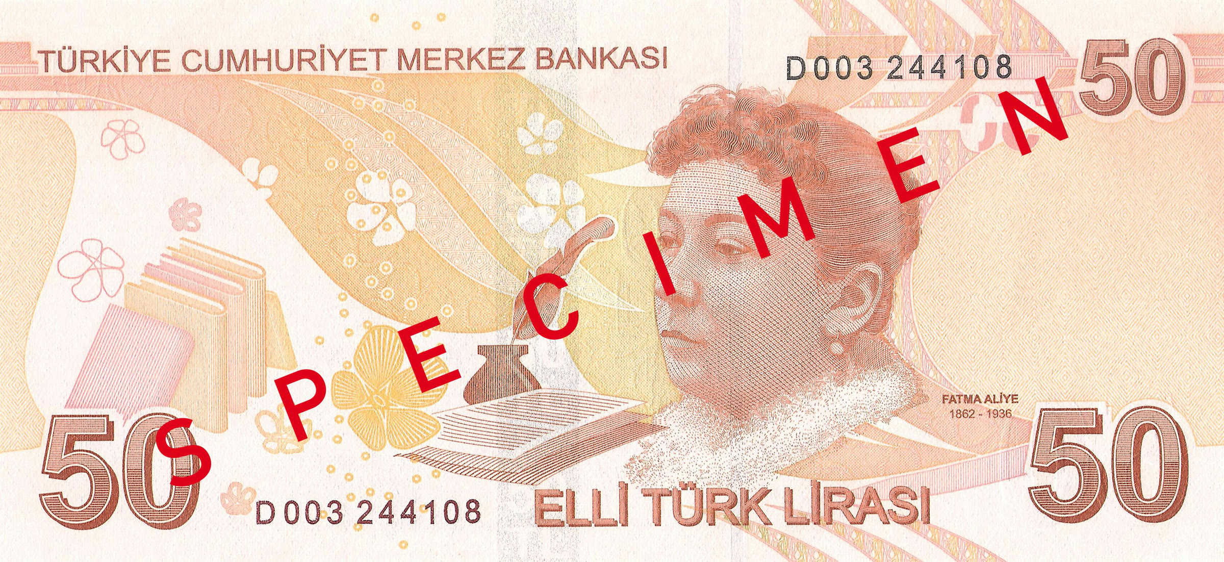The reverse side of a 50 Turkish lira banknote