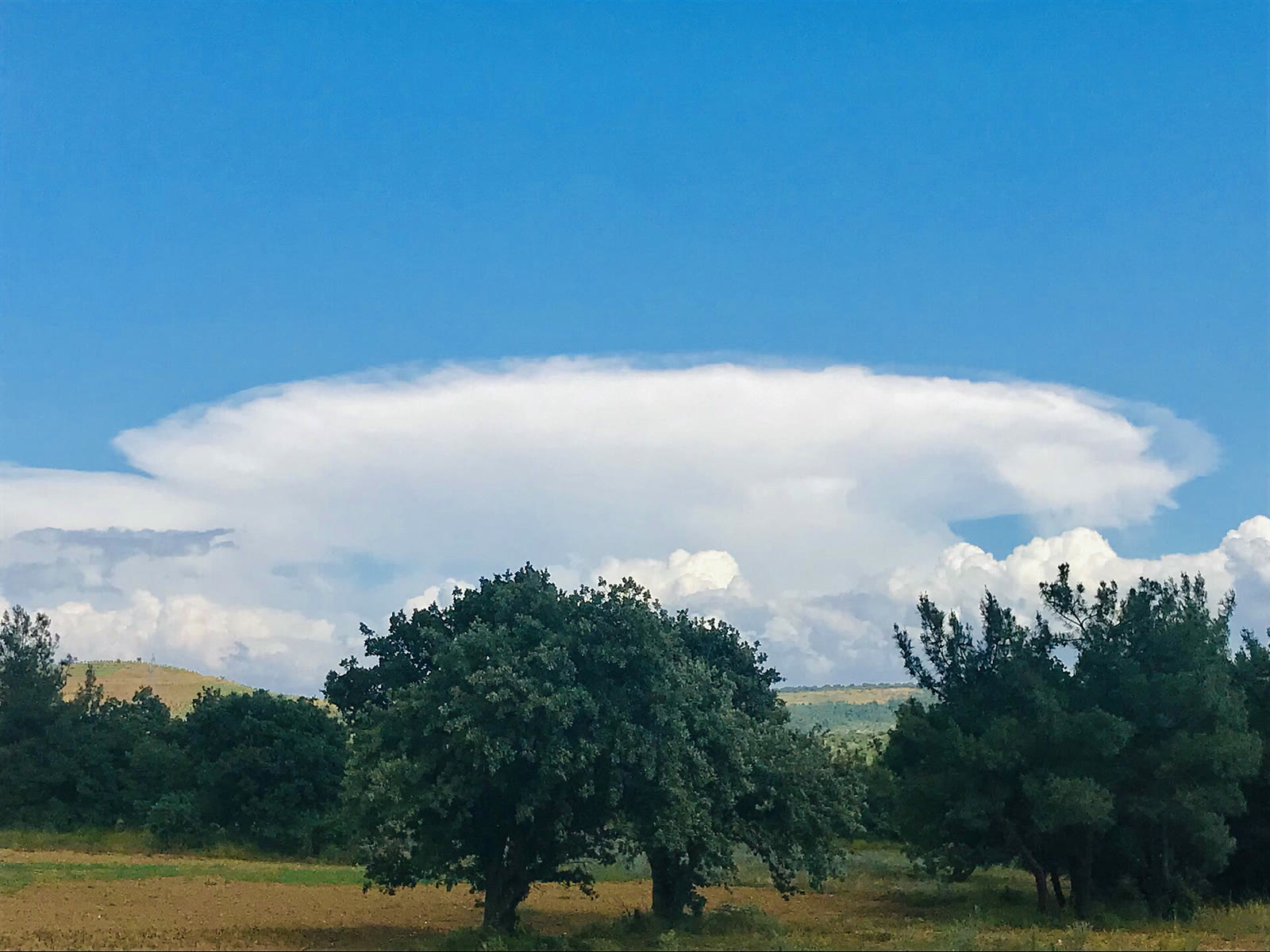 Gökyüzünde örs biçimli kümülonimbus bulutu (arşiv)