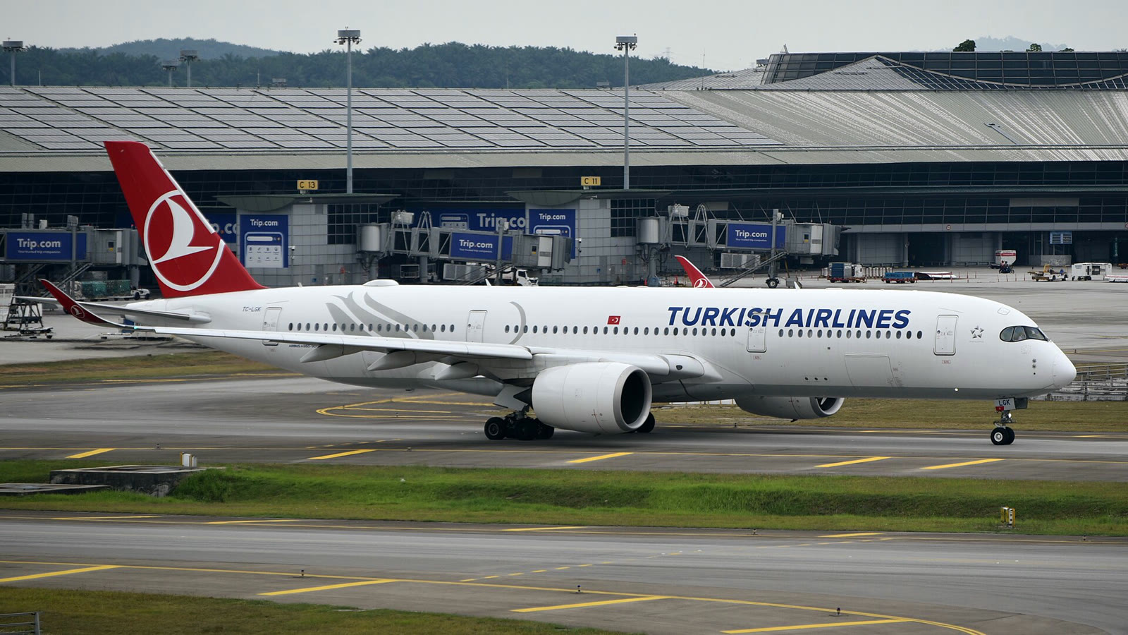 Türk Hava Yollarına ait bir Airbus A350, İstanbul Havalimanı (arşiv)