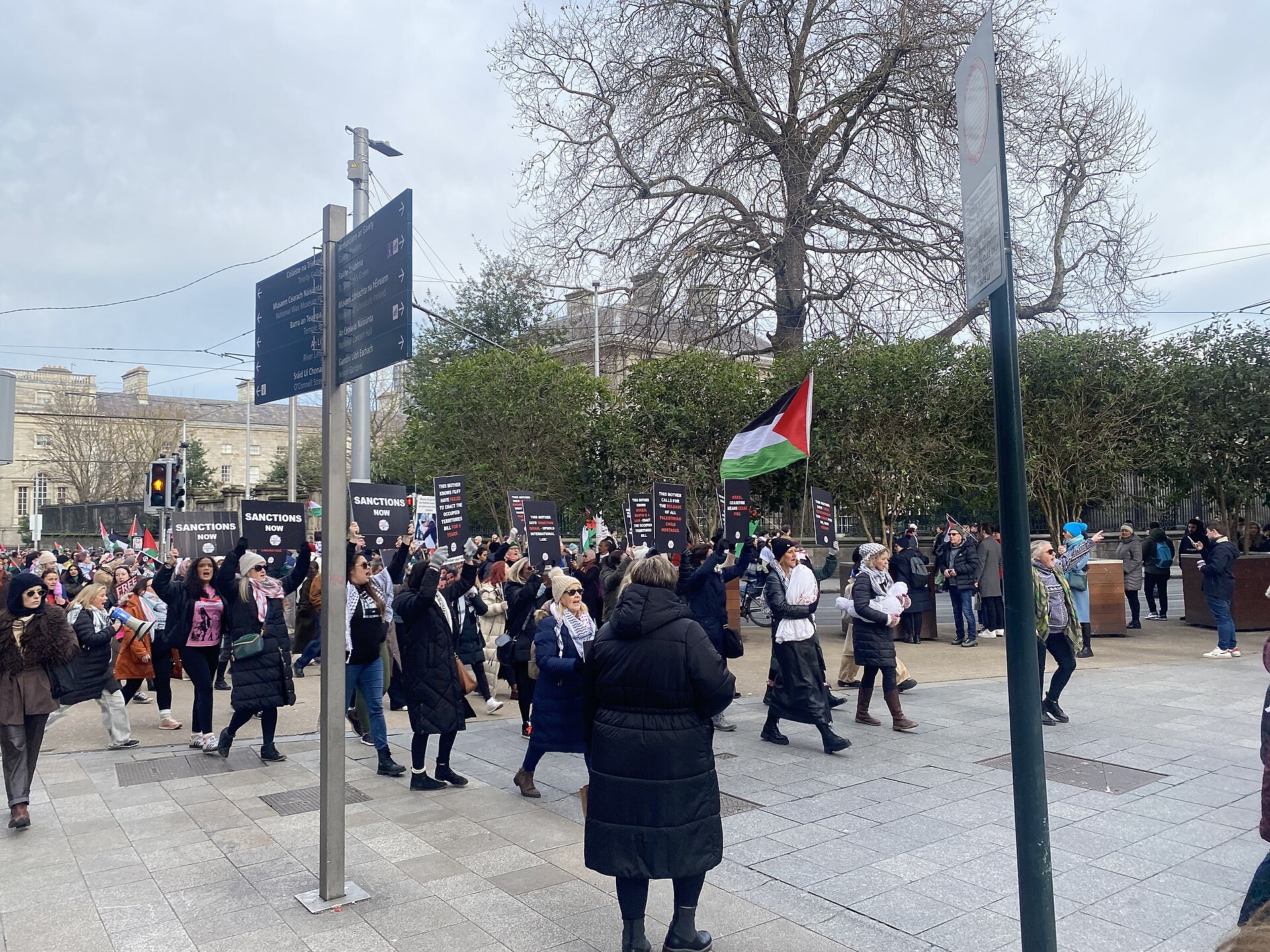 Dublin'de Filistin'e destek yürüyüşü (arşiv, 2025)