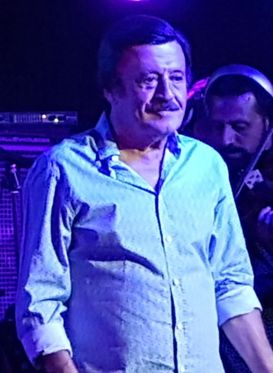 Selami Şahin (arşiv)