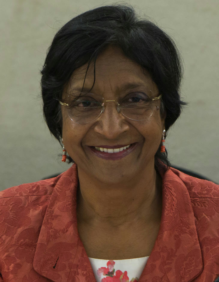 Navi Pillay, BM İnsan Hakları Yüksek Komiseri olarak (arşiv)