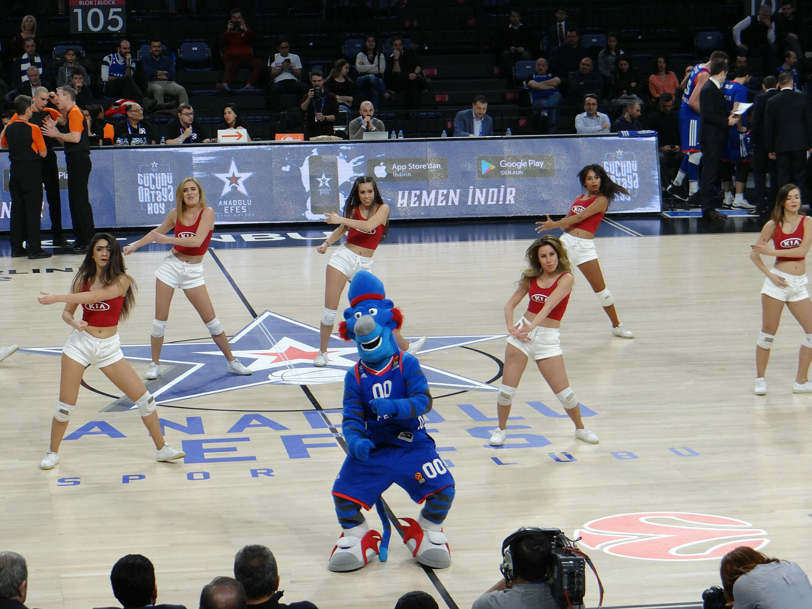 Anadolu Efes'in bir iç saha maçından kare (2018, arşiv)