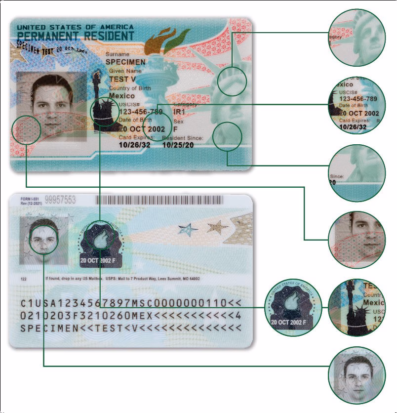 Образец карты постоянного жителя США (Green Card), дизайн 2023 года (USCIS)