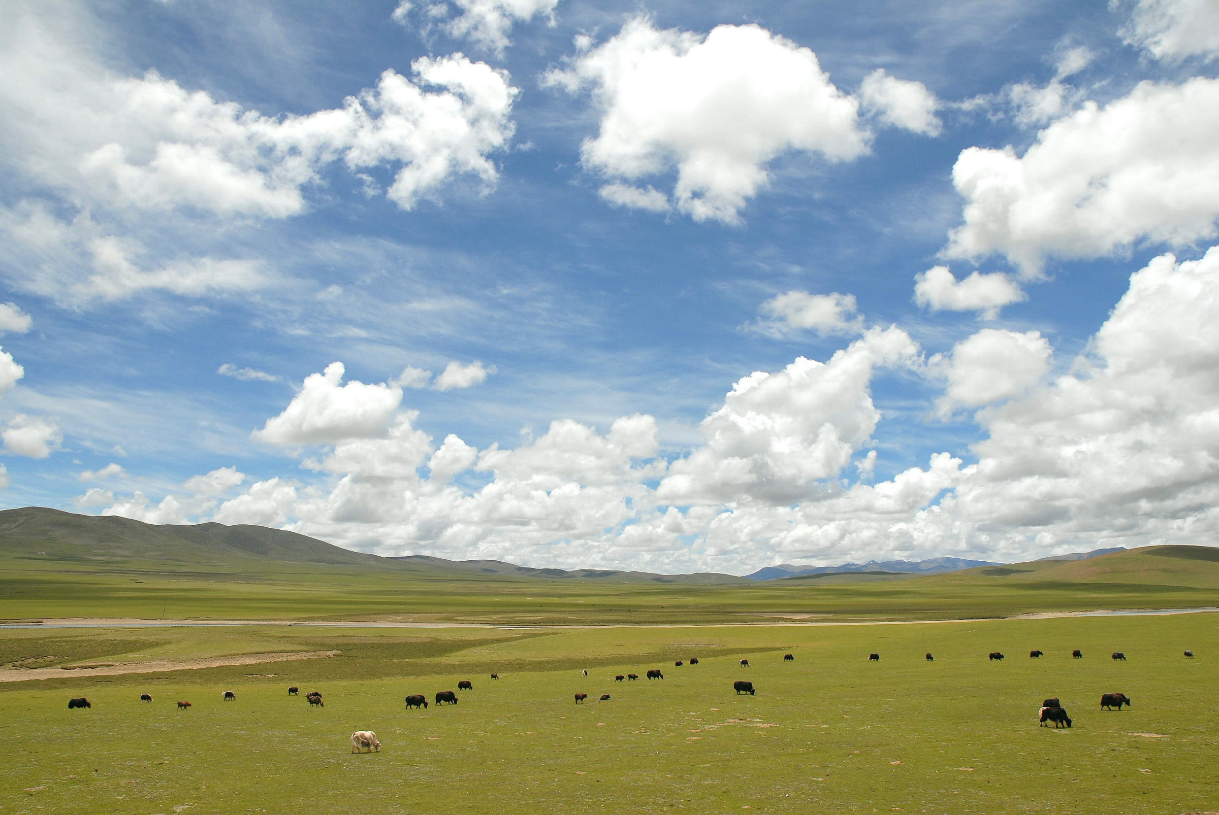 A valley on the Tibetan Plateau