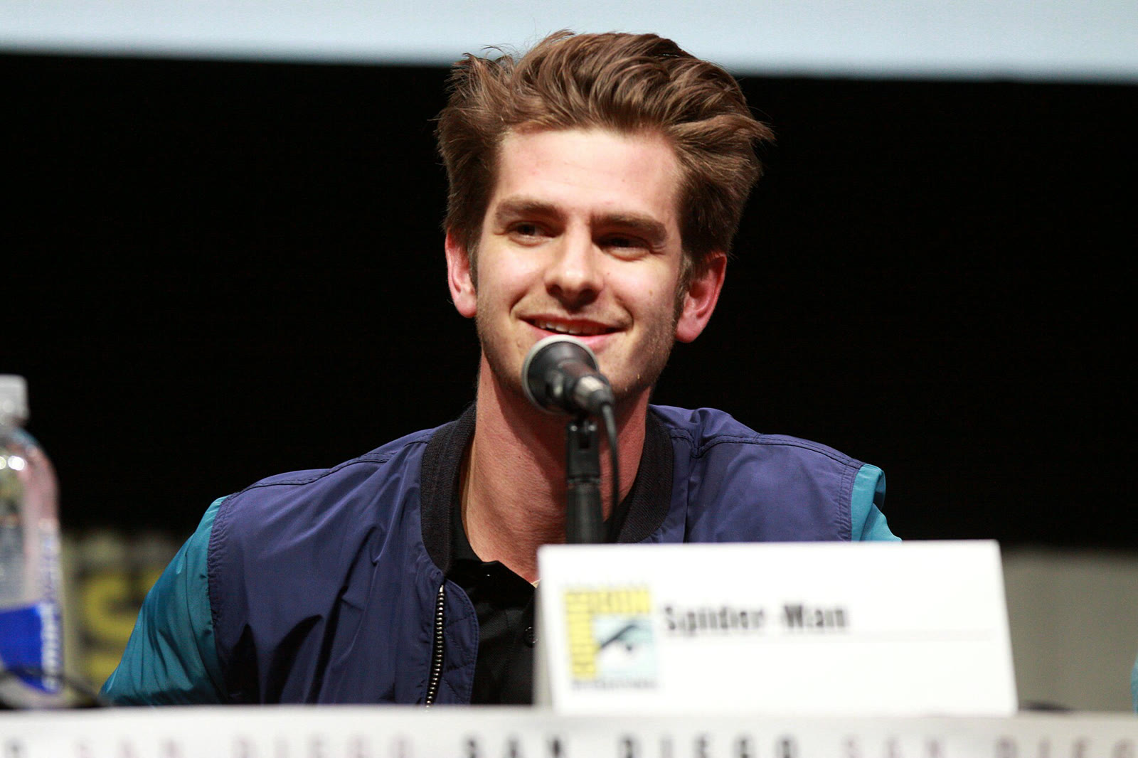 Andrew Garfield, 2013 Comic-Con'daki The Amazing Spider-Man 2 panelinde