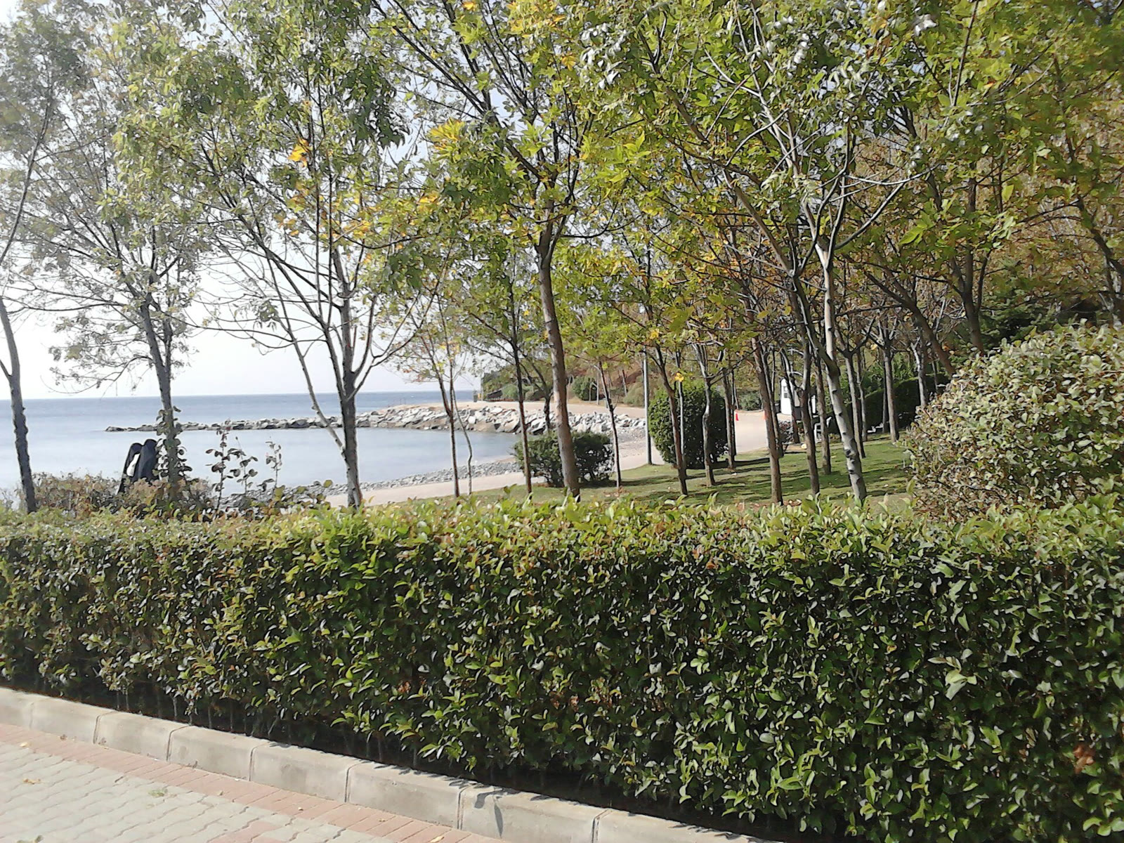 Yalova sahili (arşiv)