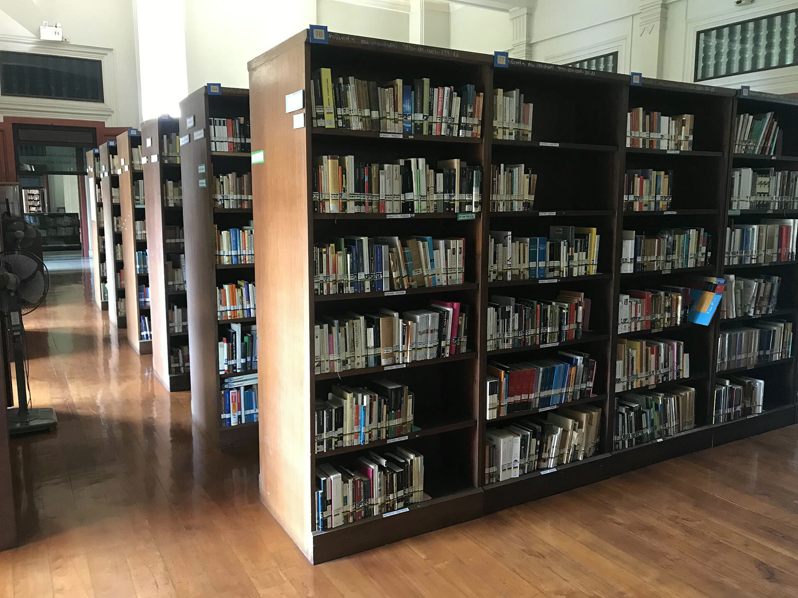 Bir üniversite kütüphanesindeki kitap rafları (temsili)