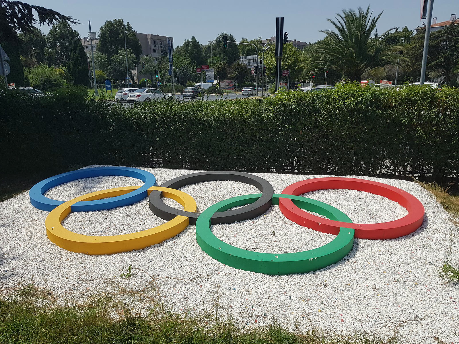 Türkiye Milli Olimpiyat Komitesi binası önündeki olimpiyat halkaları
