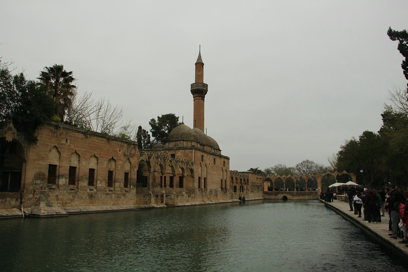 Şanlıurfa'daki Balıklıgöl (arşiv)