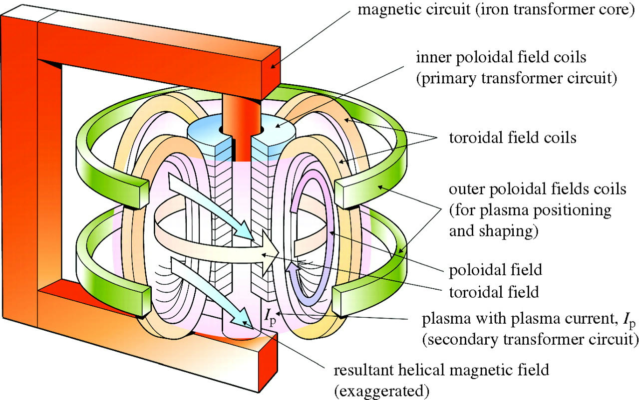 Bir tokamak reaktörünün manyetik alan sistemini gösteren şema