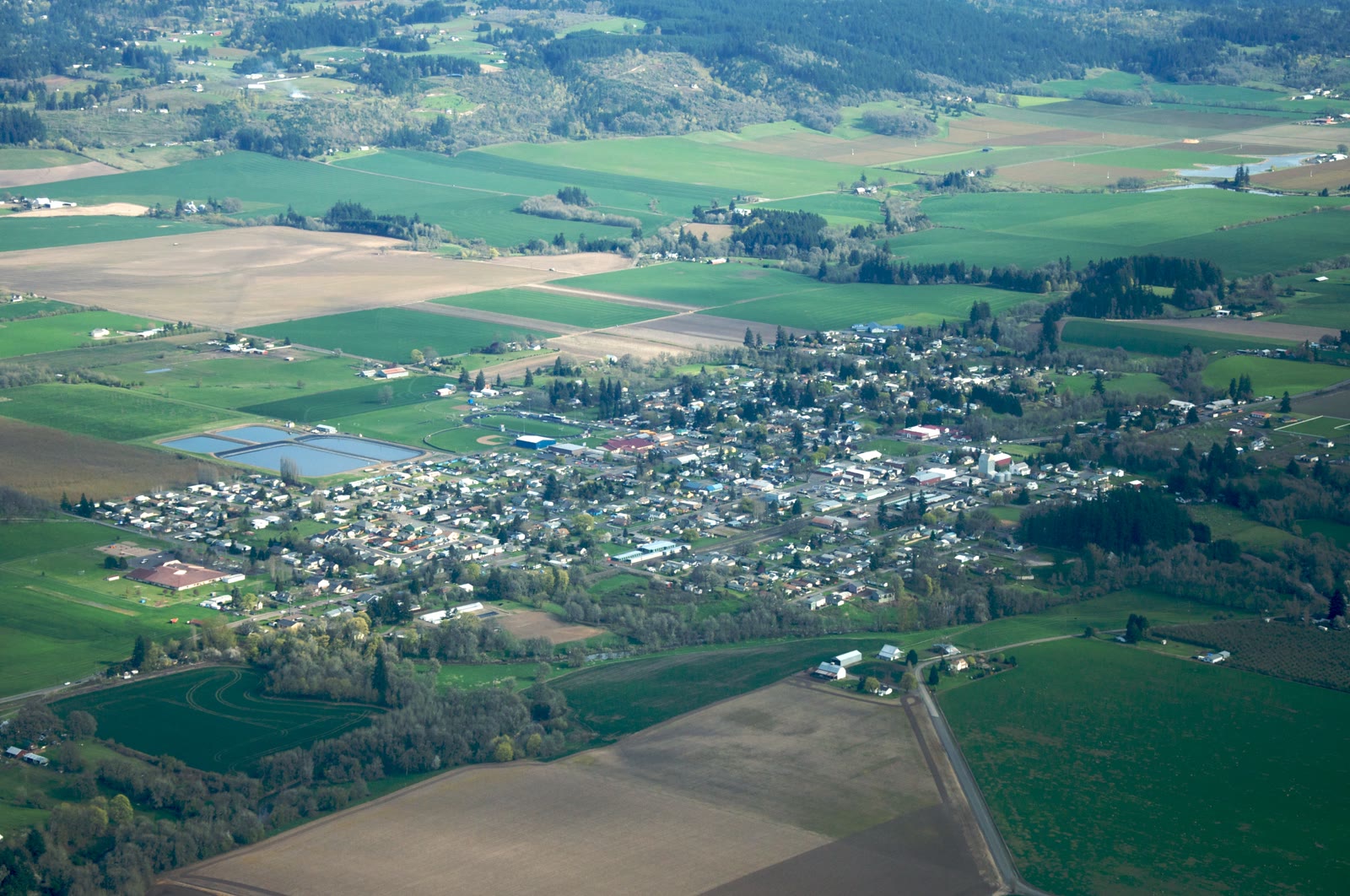 Farmland in Yamhill County, viewed from the air (archive, Sam Beebe / Wikimedia Commons)