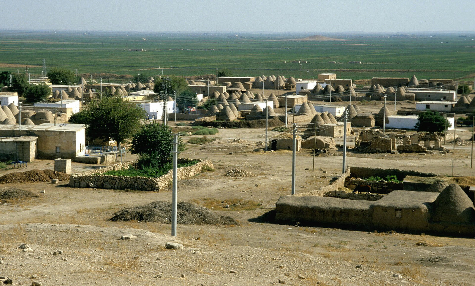Harran Ovası (arşiv)