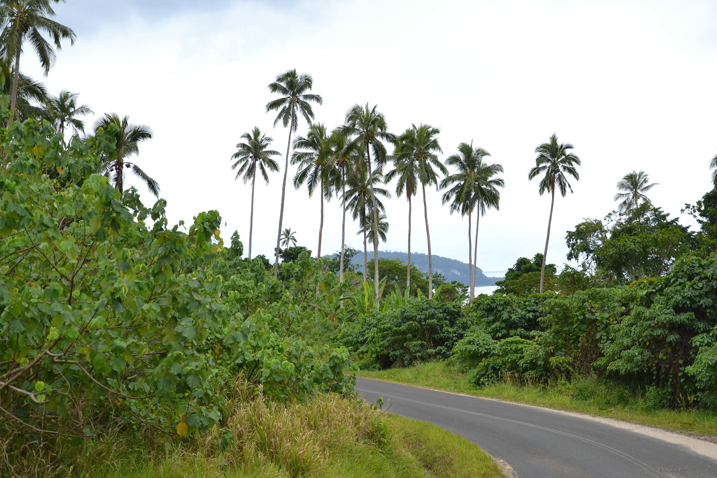 A coastal road on Espiritu Santo